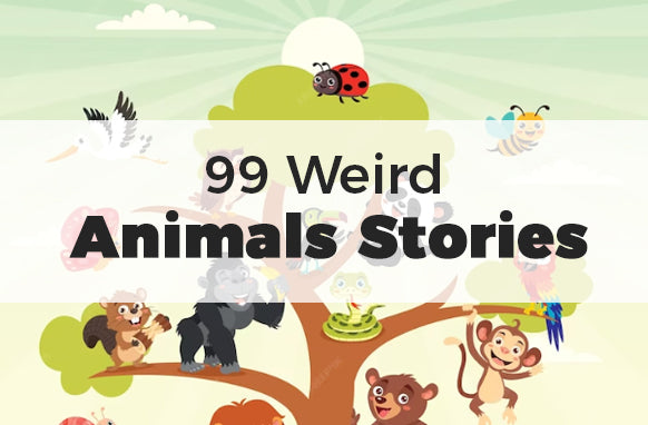 99 Weird Animals Stories