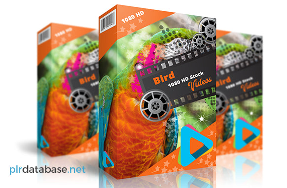 Bird 1080 HD Stock Videos