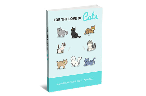 For The Love Of Cats