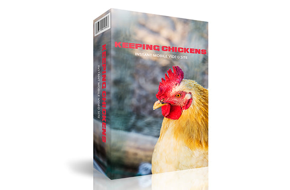 Keeping Chickens Instant Mobile Video Site