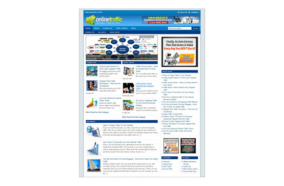 Online Traffic WP Niche Theme