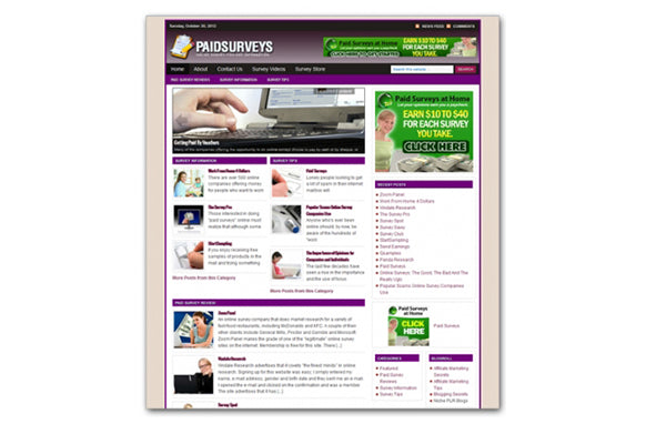 Survey Niche WP Theme