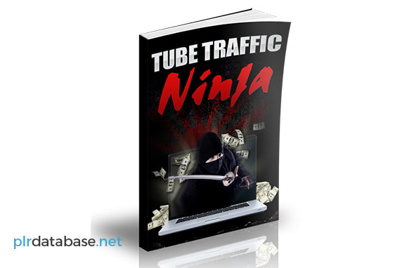 Tube Traffic Ninja