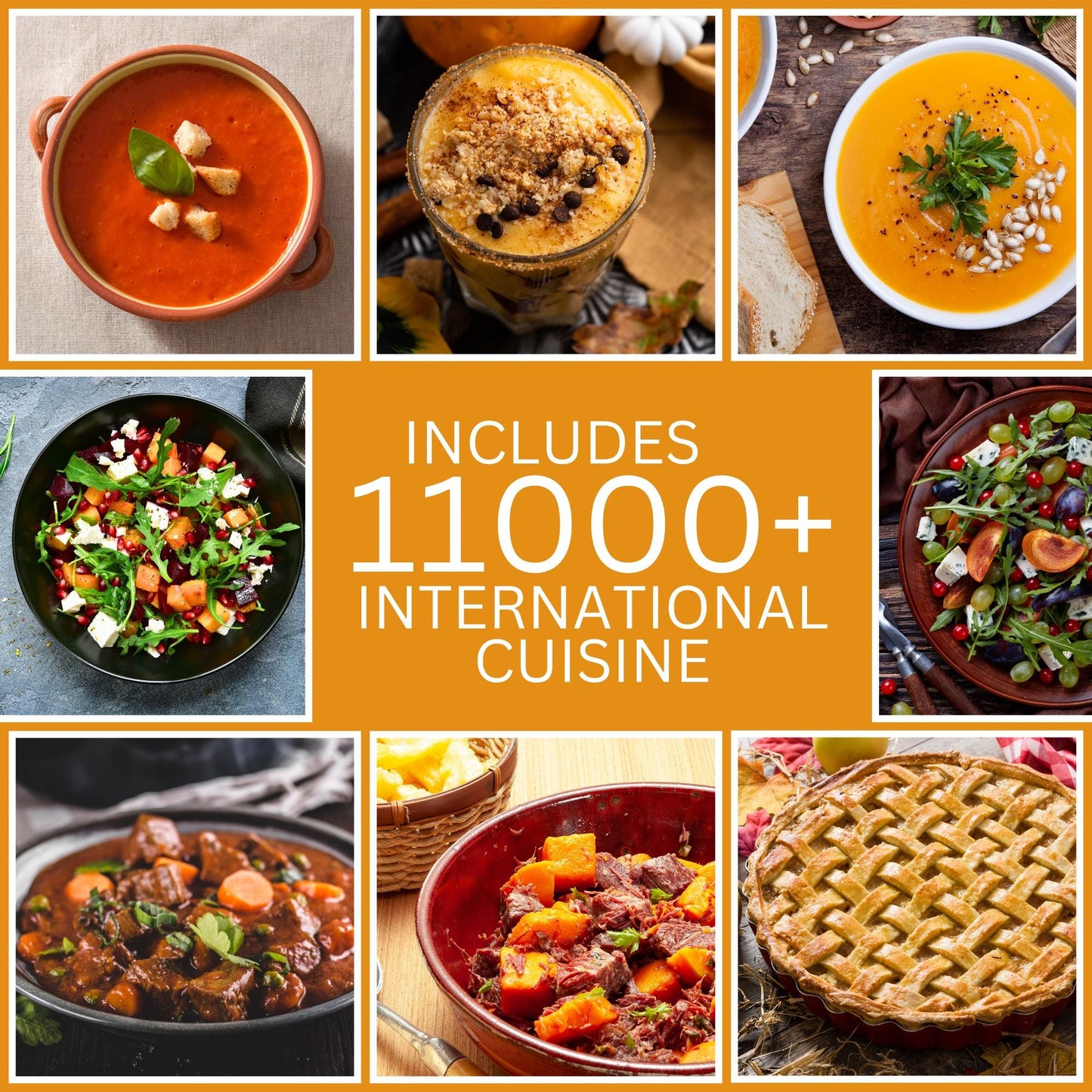 Delicious 12,000 Recipe eBook Bundle