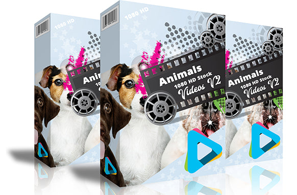 Animals 1080 HD Stock Videos V2.1