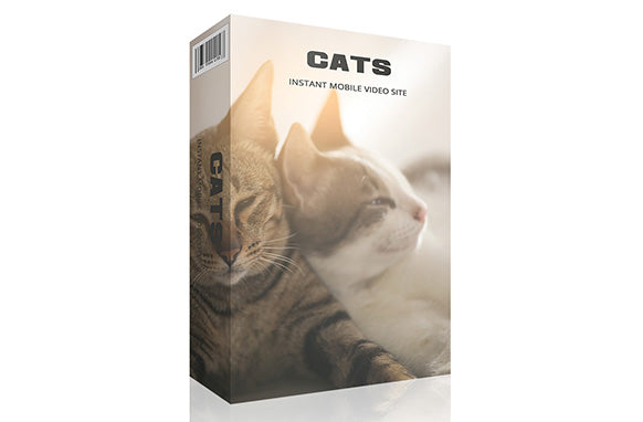 Cats Instant Mobile Video Site