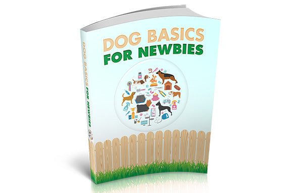 Dog Care