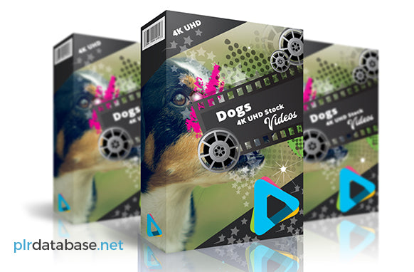 Dog Stock 4K UHD Videos