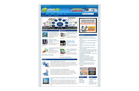 Online Traffic WP Niche Theme