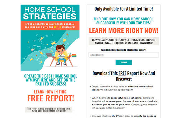 Home School Strategies