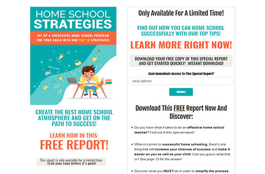 Home School Strategies