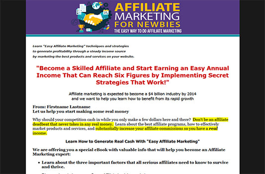 Affiliate Marketing For Newbies