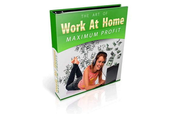The Art Of Work At Home Maximum Profits